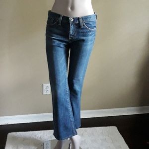 AG Goldschmied "The Angel" Jeans size 28 Regular